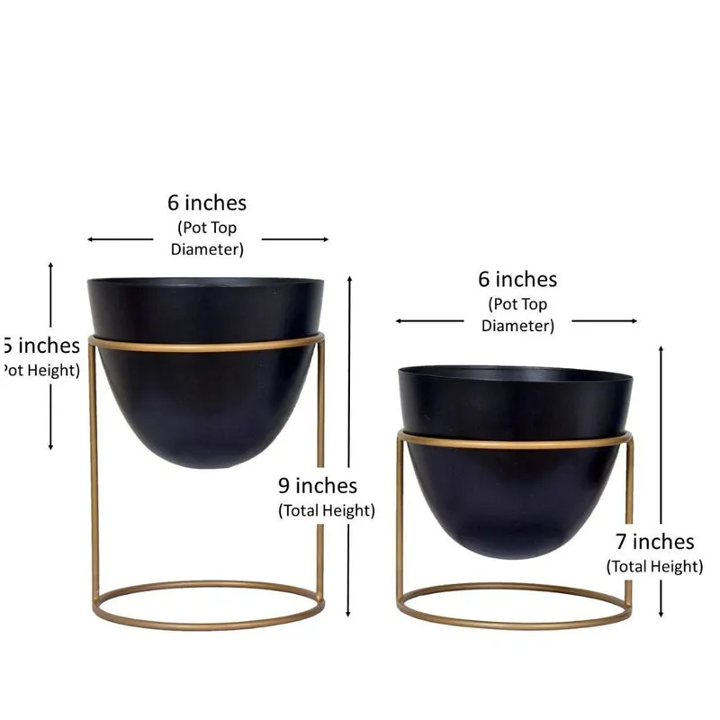 Bellos Planter (Black) - Set Of Two