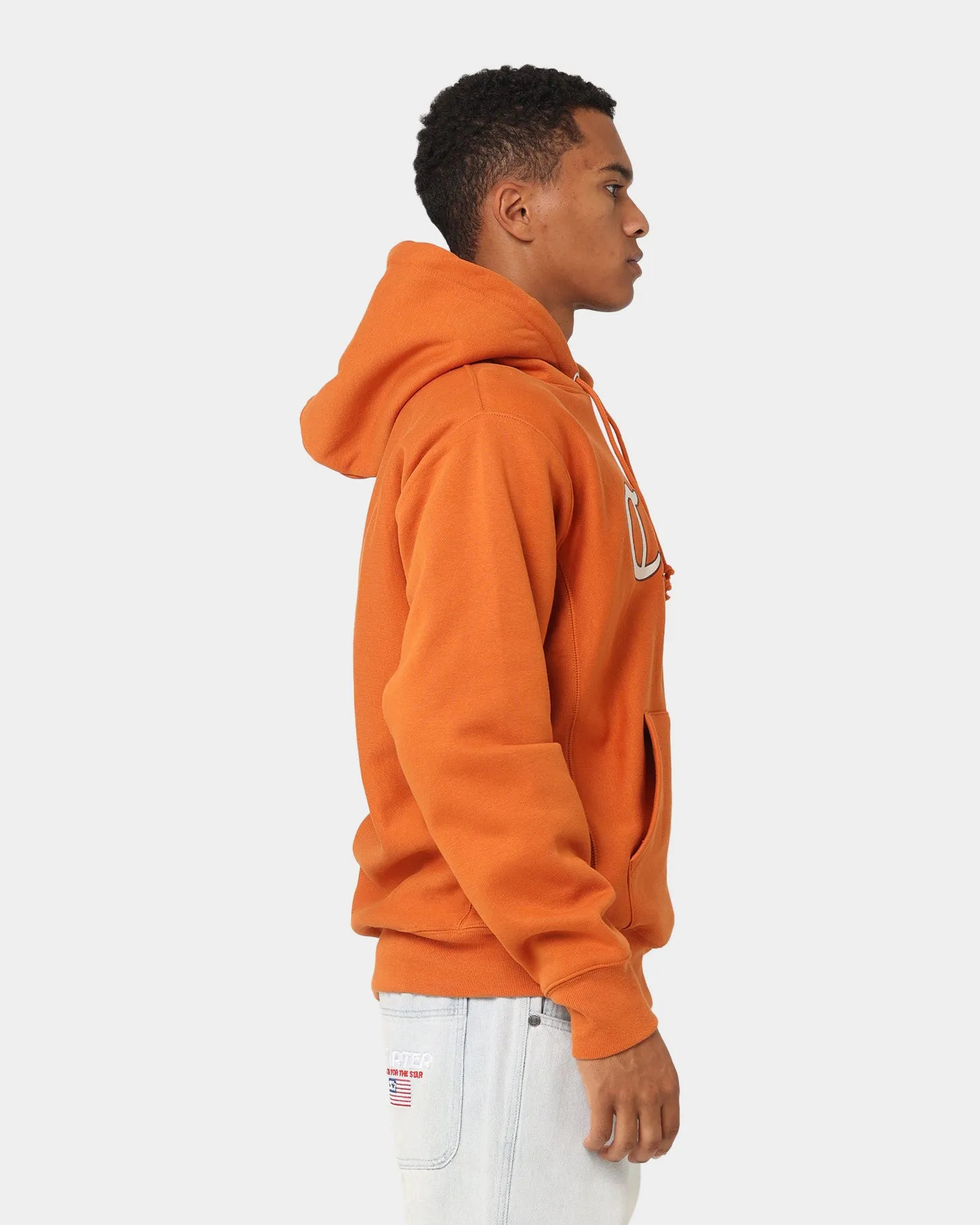 Champion Reverse Weave Cursive Logo Hoodie Cinnamon Haze