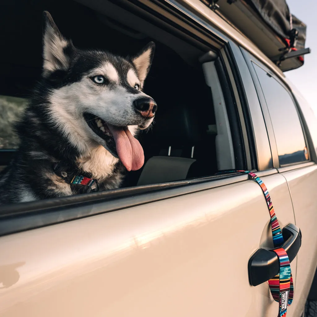 Coastal Wolfgang Man & Beast Quetzal Leash
