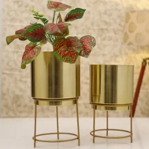 Hemera Raagi Planter (Gold) - Set Of Two