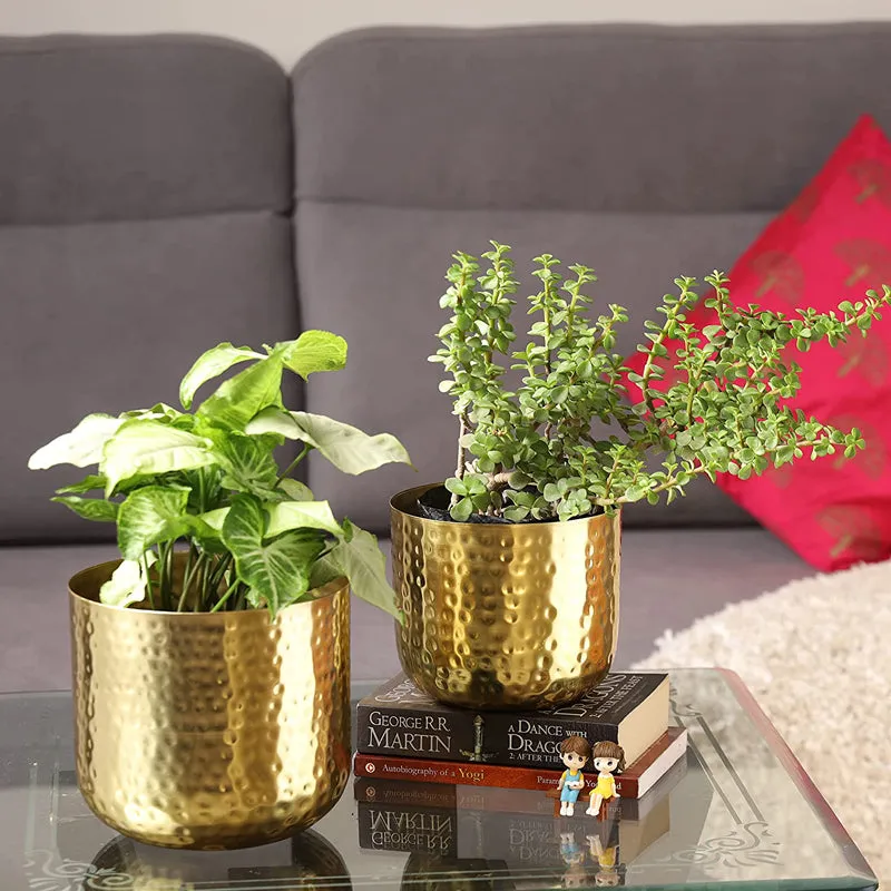 Luxe Glow Hammered Planter (Gold) - Set Of Two