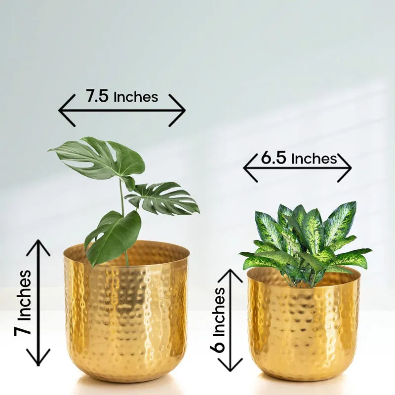 Luxe Glow Hammered Planter (Gold) - Set Of Two