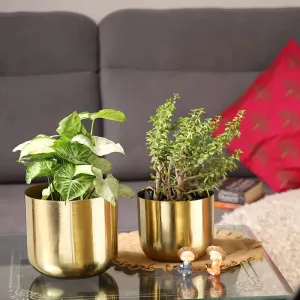 Luxe Glow Planter (Gold) - Set Of Two