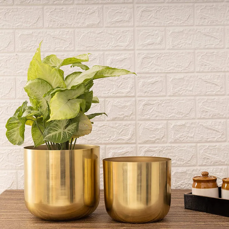 Luxe Glow Planter (Gold) - Set Of Two