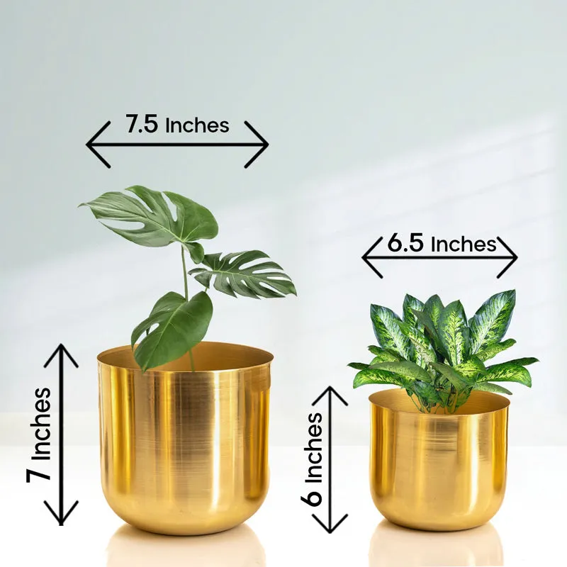 Luxe Glow Planter (Gold) - Set Of Two