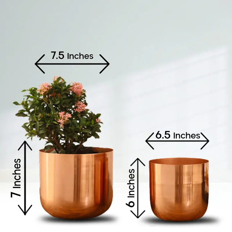 Luxe Glow Planter (Rose Gold) - Set Of Two