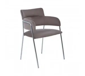 Mink Velvet Dining Chair