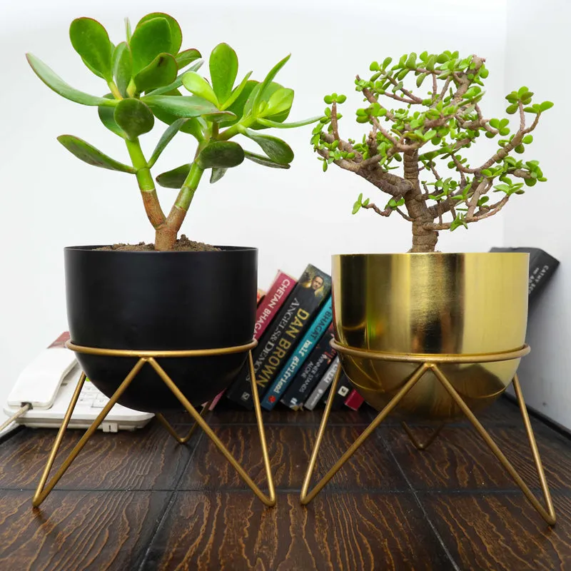 Nuksa Zig Zag Planter (Gold & Black) - Set Of Two