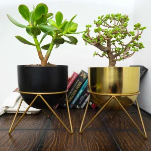 Nuksa Zig Zag Planter (Gold & Black) - Set Of Two