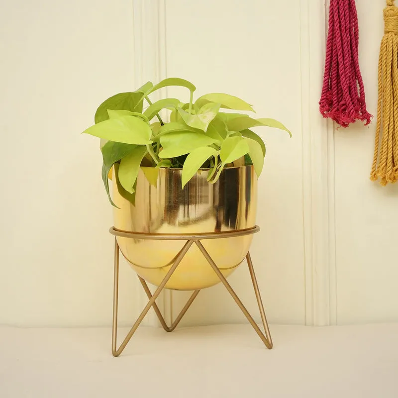 Nuksa Zig Zag Planter - Gold