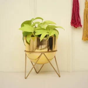 Nuksa Zig Zag Planter - Gold