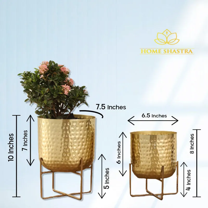 Zeren Olive Hammered Planter (Gold) - Set Of Two