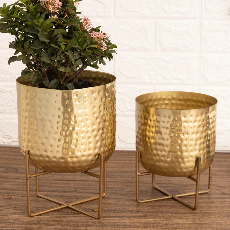 Zeren Olive Hammered Planter (Gold) - Set Of Two