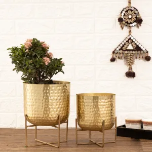 Zeren Olive Hammered Planter (Gold) - Set Of Two