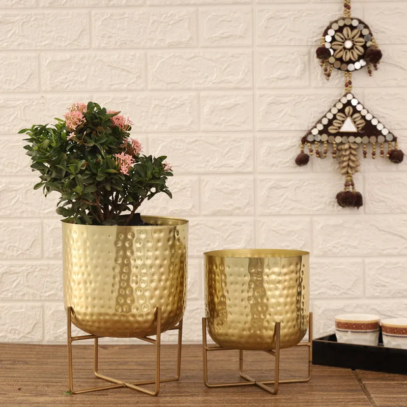 Zeren Olive Hammered Planter (Gold) - Set Of Two