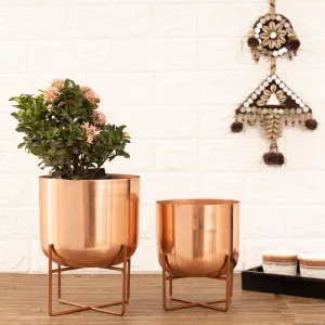 Zeren Olive Planter (Rose Gold) - Set Of Two