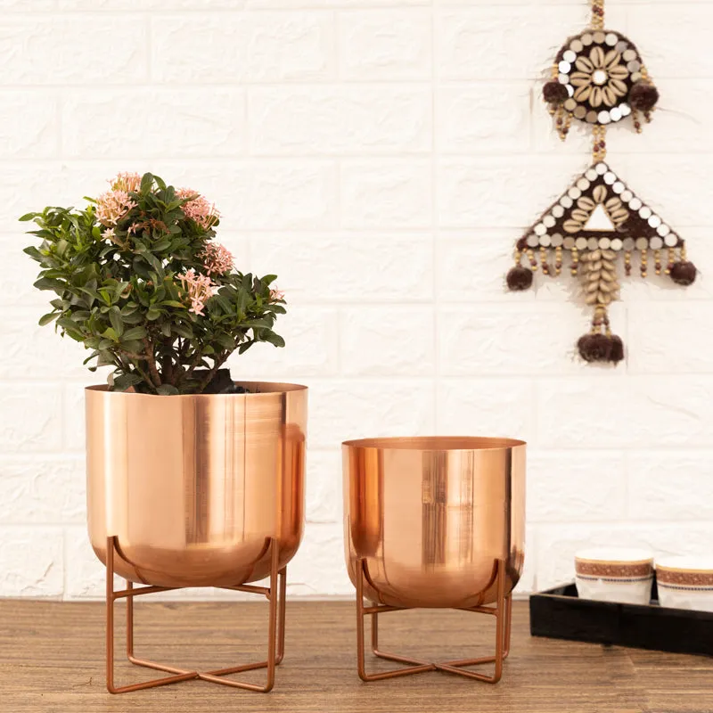 Zeren Olive Planter (Rose Gold) - Set Of Two