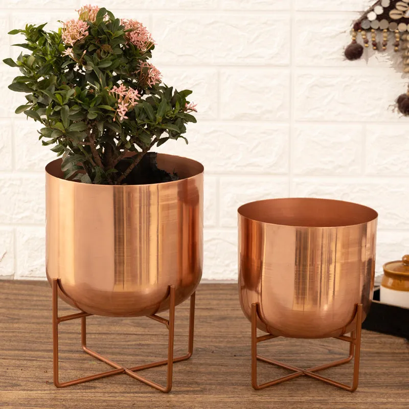 Zeren Olive Planter (Rose Gold) - Set Of Two